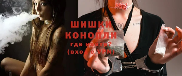 сатива Осинники