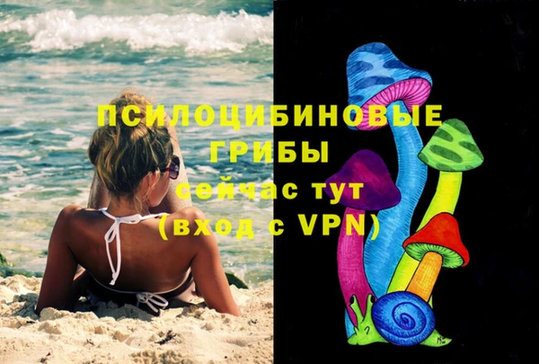 стаф Осташков
