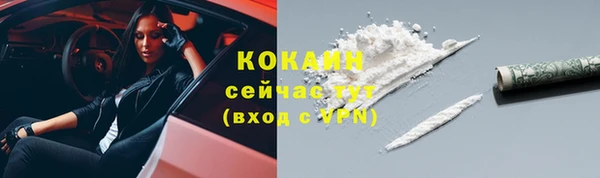 сатива Осинники