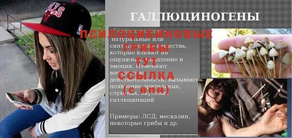 стаф Осташков