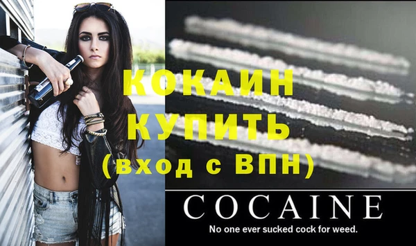 сатива Осинники