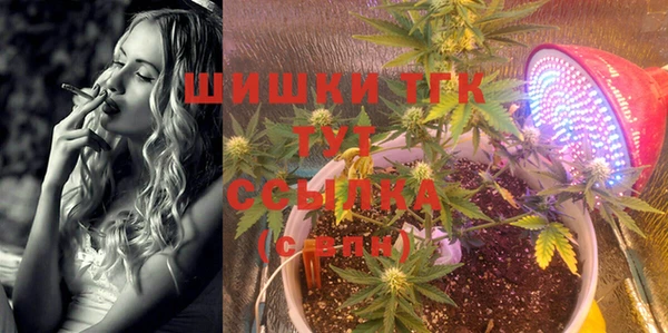 сатива Осинники