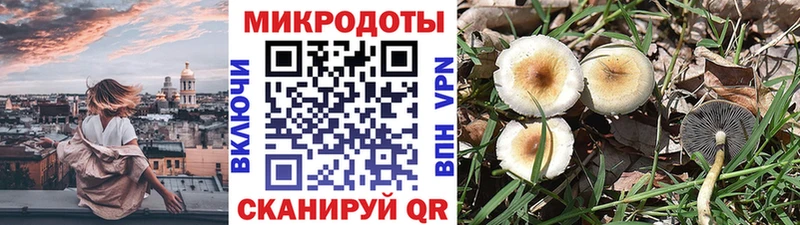 Галлюциногенные грибы мухоморы  Купить где  Суздаль 