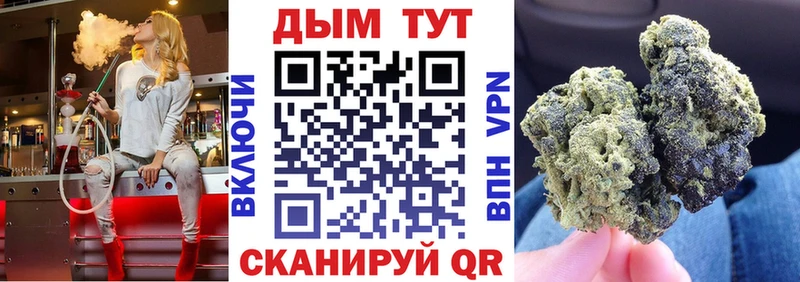 Каннабис сатива  Купить  Суздаль 